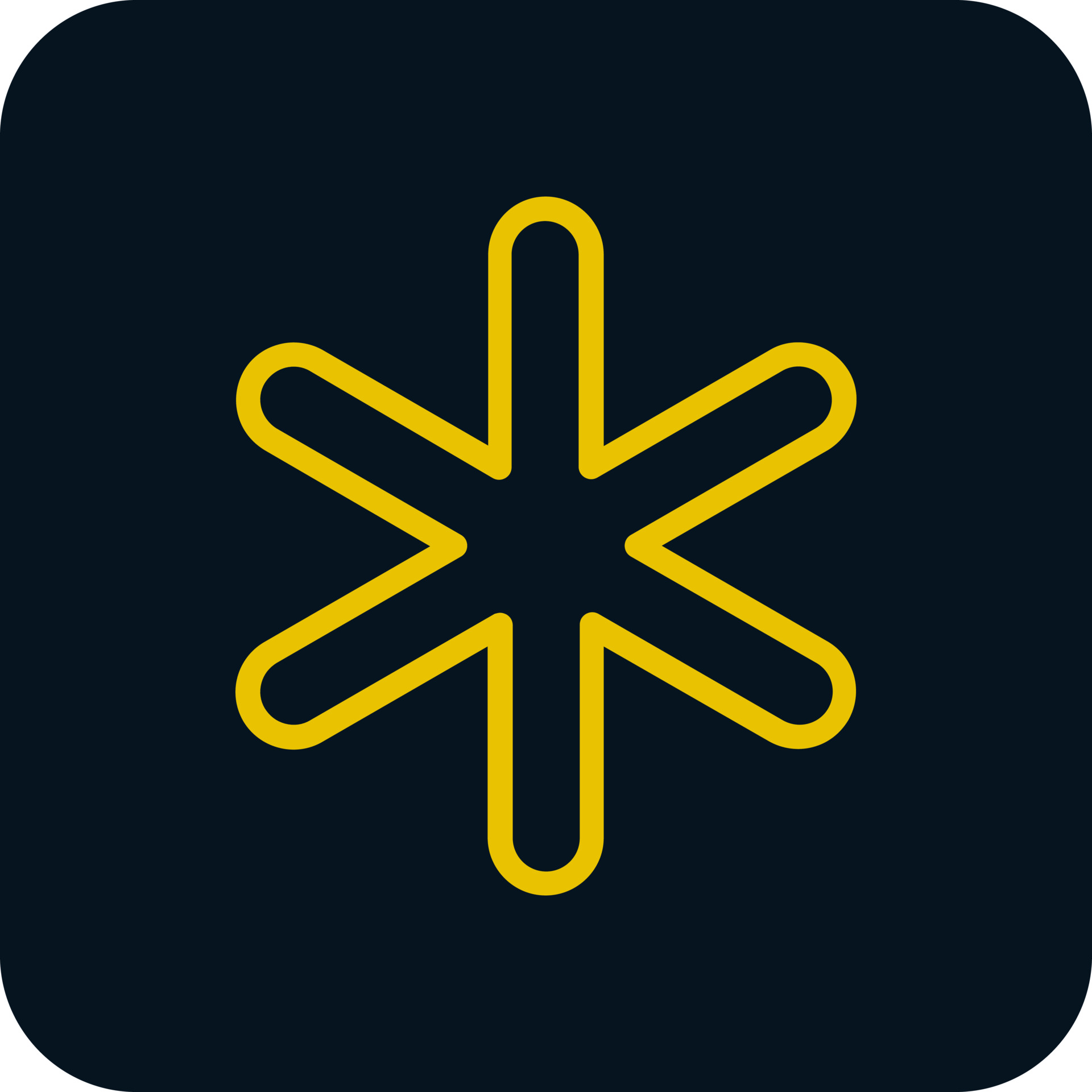 First one-to-one Online Academy 